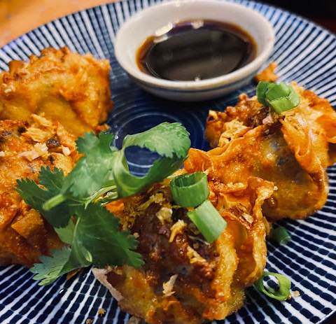 Chicken Dumplings, photographed